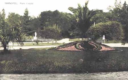 парк з тропічними рослинами в Тернополі