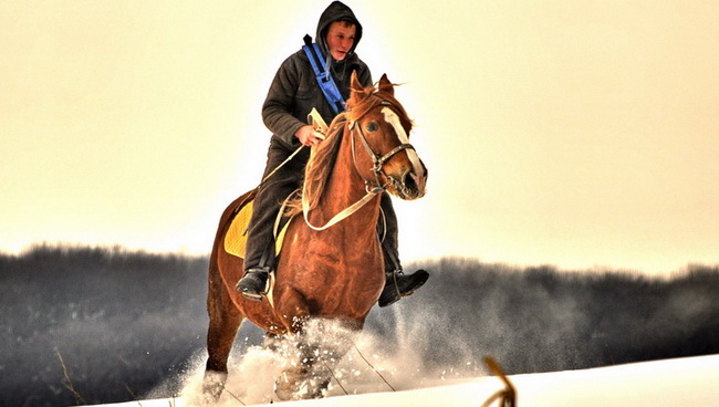Winter_horse_long2.jpg