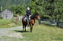 катання на конях в Карпатах