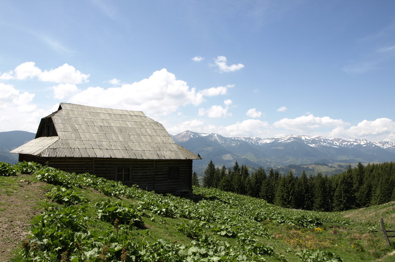 hut in the Carpathians