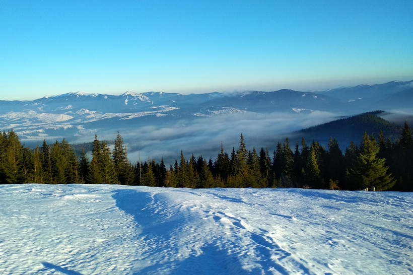 Picture Winter in Carpathians