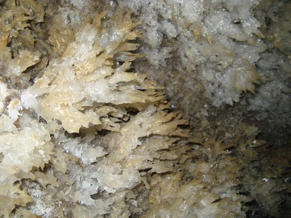 печера, атлантида, екскурсії, спелео, пещера, экскурсии, cave, atlantida, speleo