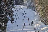 Гірськолижний курорт Буковель 1041