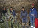 Гонки Underground 6