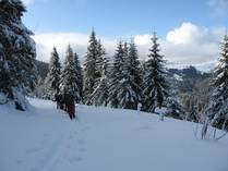 Ski-tours 32