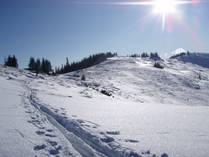 Ski-tours 20