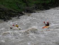 Kayaks