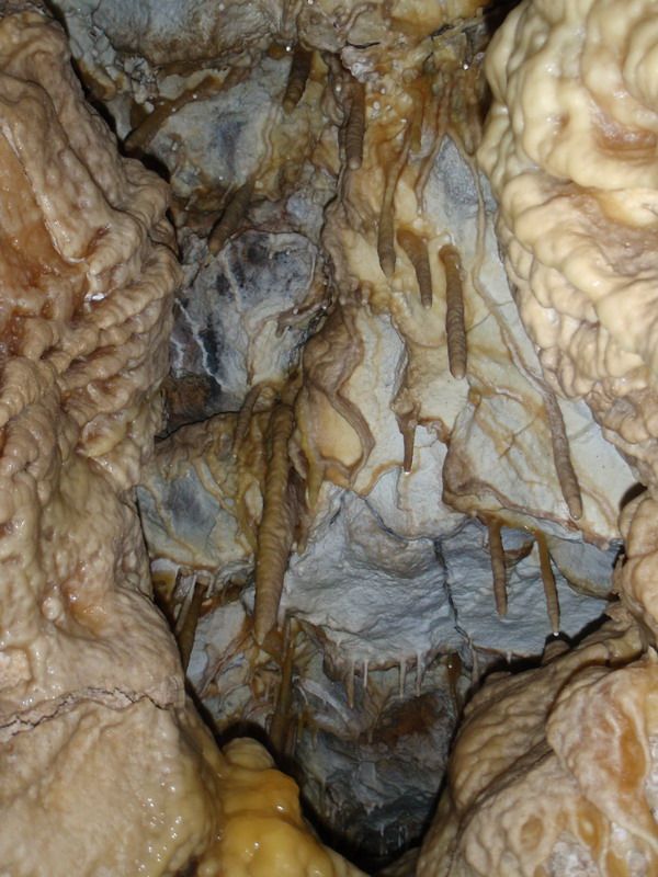 печера, млинки, екскурсії, спелео, пещера, экскурсии, cave, mlynky, speleo, спелеохата