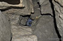 печера Угринська
