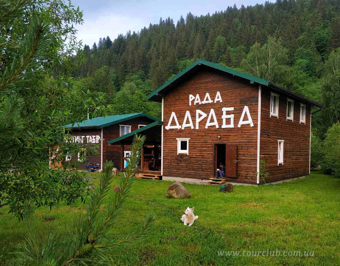 Рада Дараба