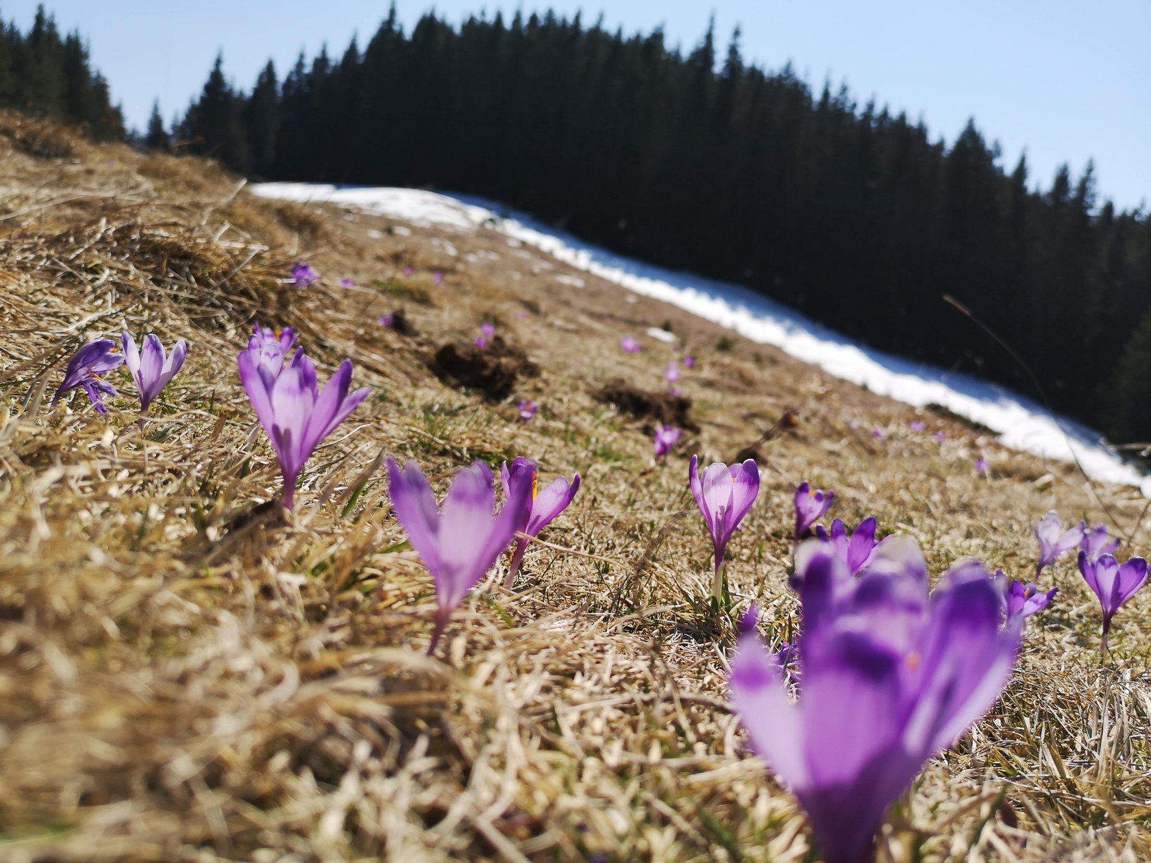 Мамин відпочинок. Карпати