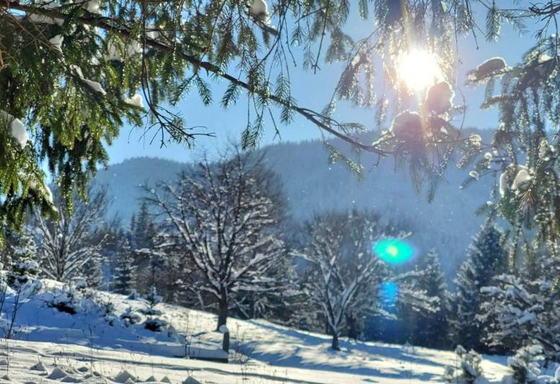 Wanter in the Carpathian Mountains