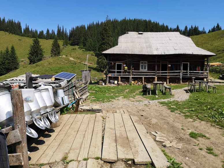 Dairy on Krynta mountain meadow