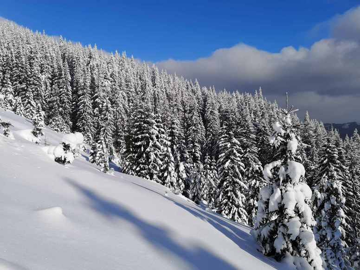 Skitour in the Carpathians