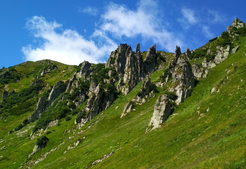 Gadzhyna Meadow