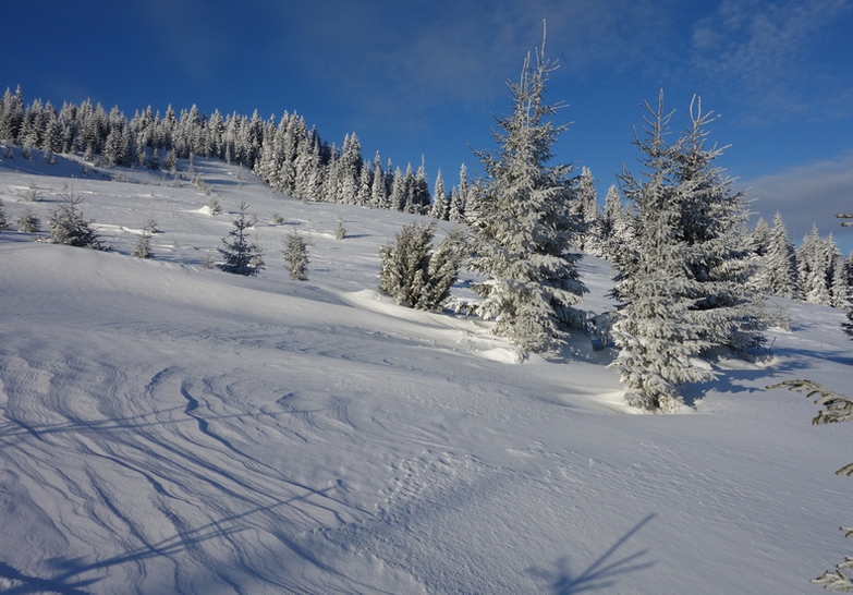 Carpathian Mountains in Winter