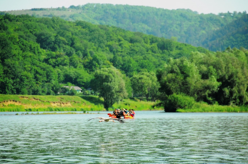 Rafting on the Dniester