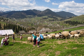 ВИПУСКНИЙ в Карпатах