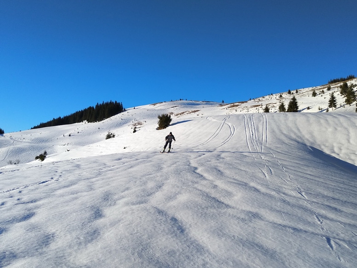 Holiday in the Carpathian Mountains