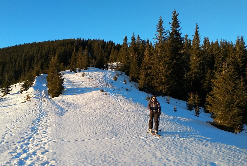 Hiking in the Carpathians