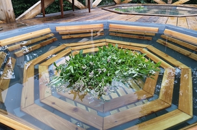 Карпатські ЧАНИ