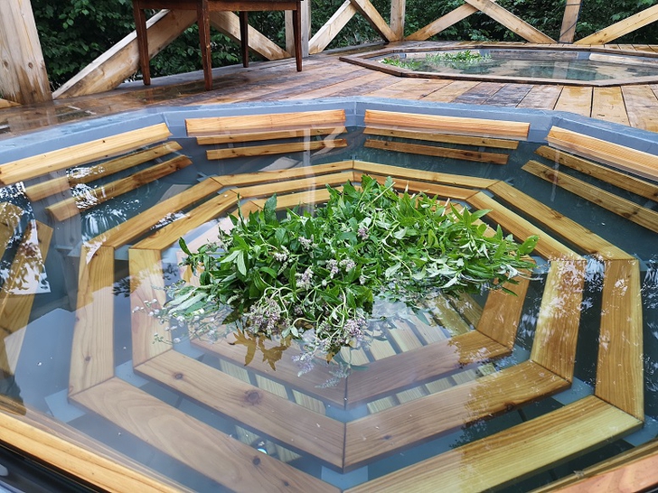 Карпатські ЧАНИ