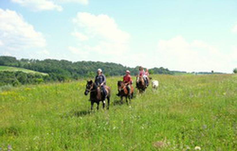 Horse trek