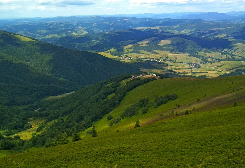 Carpathians meadow