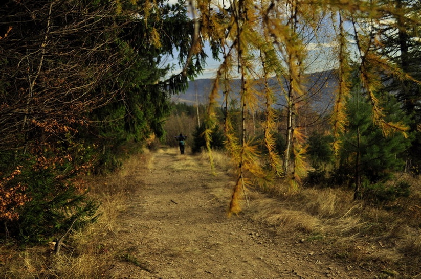 Carpathians in Autumn