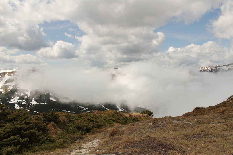 Spring in the Charpathians