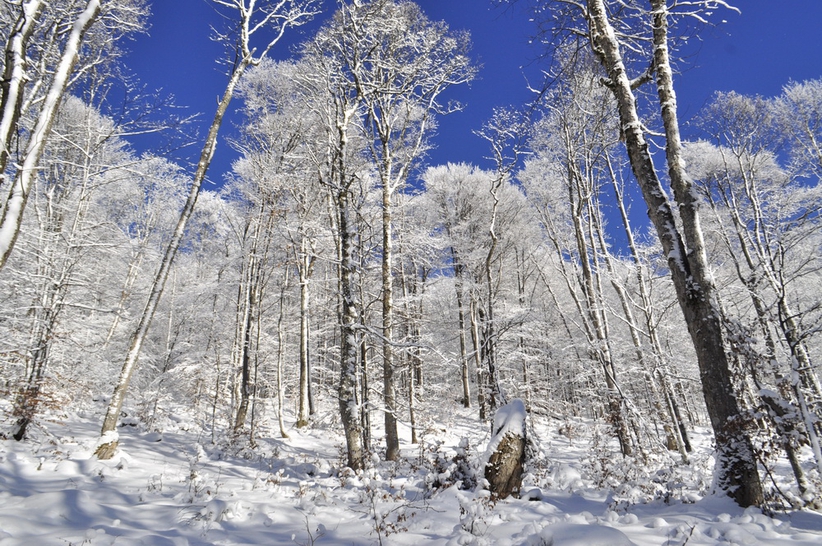 ski tours in the carpathians