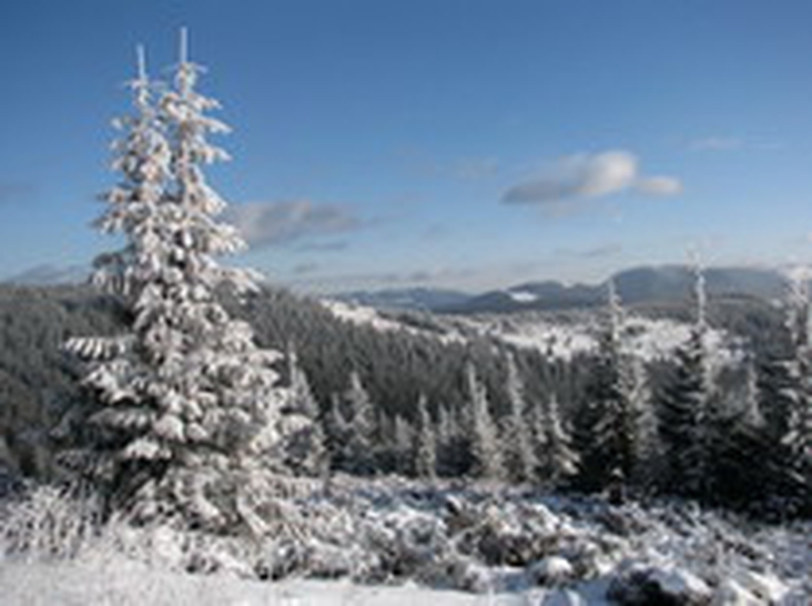 Winter Carpathians Photo