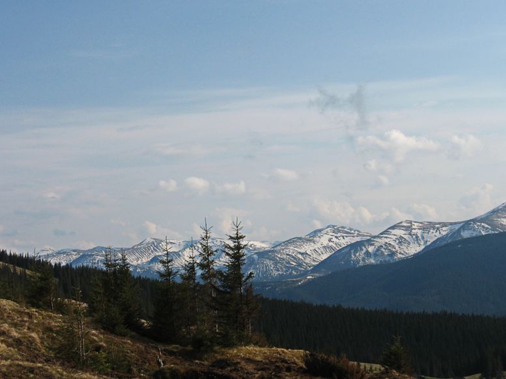 Snow in the Carpathians