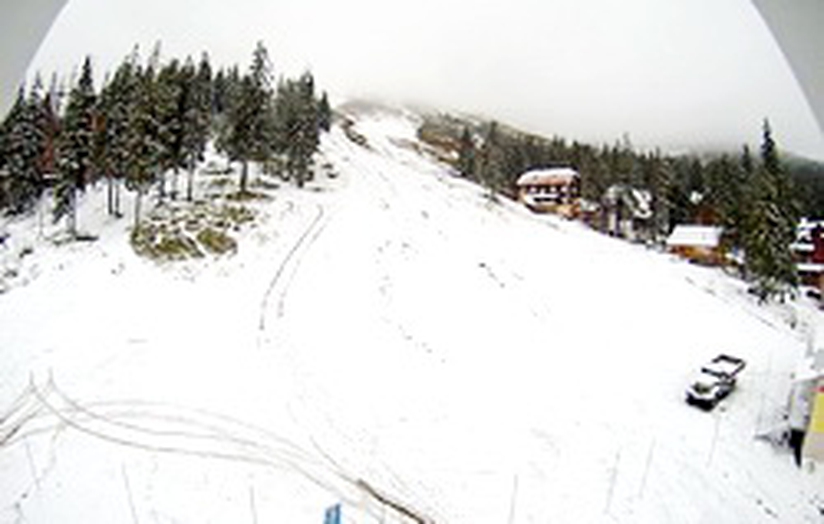snow on dragobrat