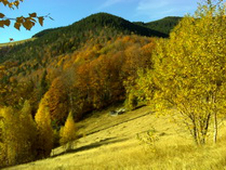 The Carpathians - indian summer