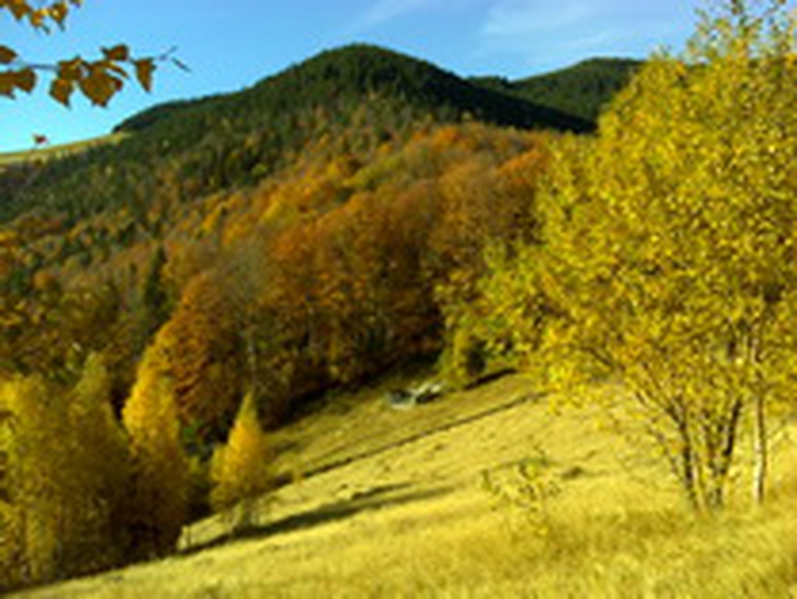 Карпати - бабине літо