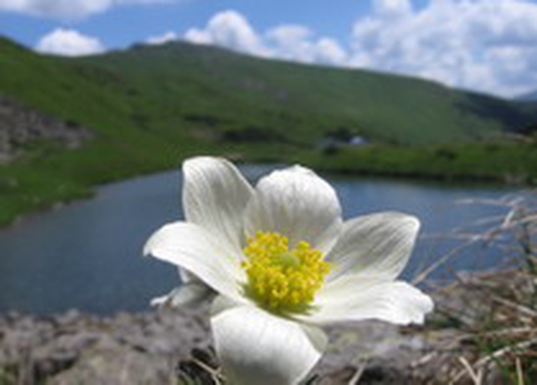 hiking in the carpathians