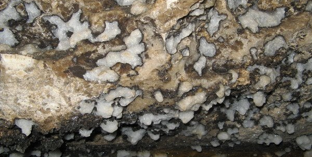 Фотографії печер Поділля (Млинки, Кристалічна, Вертеба, Атлантида)_4728