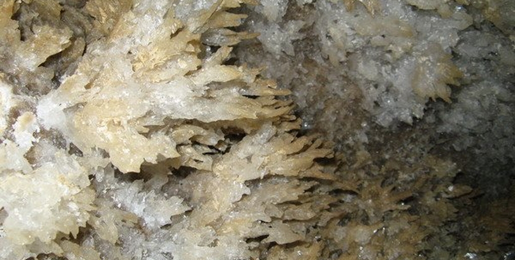Фотографії печер Поділля (Млинки, Кристалічна, Вертеба, Атлантида)_4727
