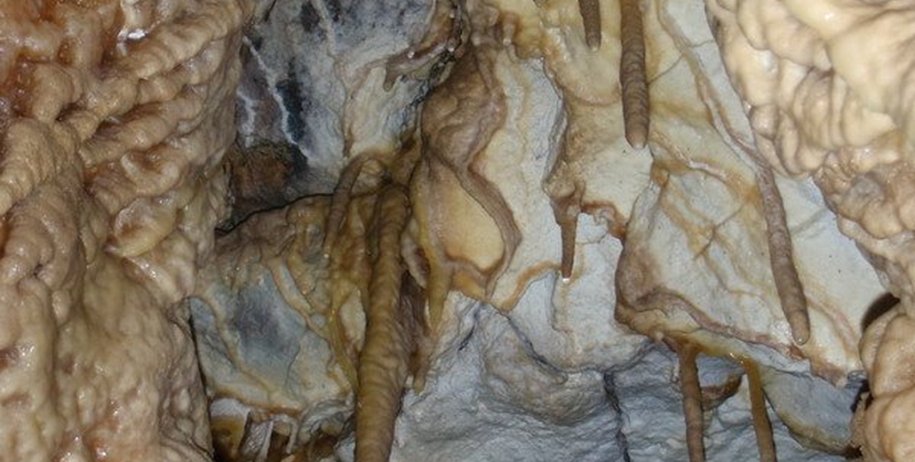 Фотографії печер Поділля (Млинки, Кристалічна, Вертеба, Атлантида)_4699