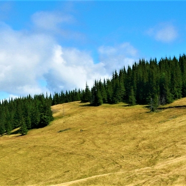 Girls' tour to the Carpathians